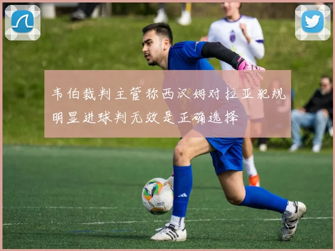 韦伯裁判主管称西汉姆对拉亚犯规明显进球判无效是正确选择